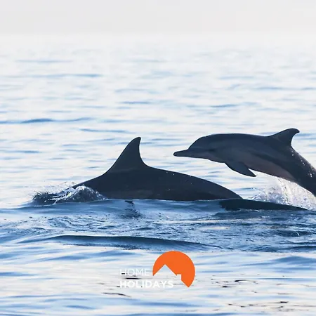 #064 Families Only - Oh Live By Holidays Lejlighed